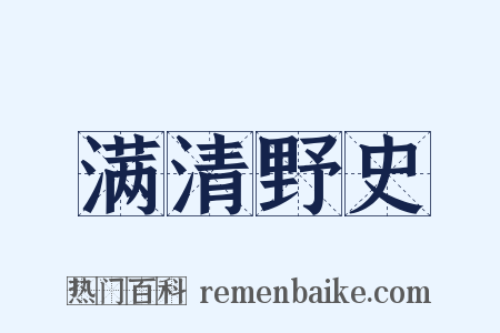 满清野史是什么意思的图片